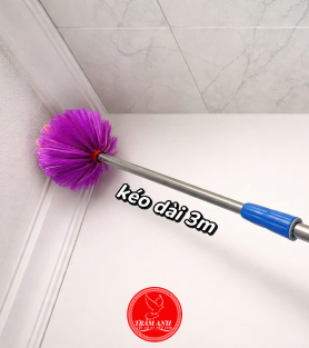 cây mạng nhện 3m
