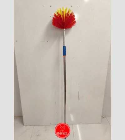 cây mạng nhện 3m